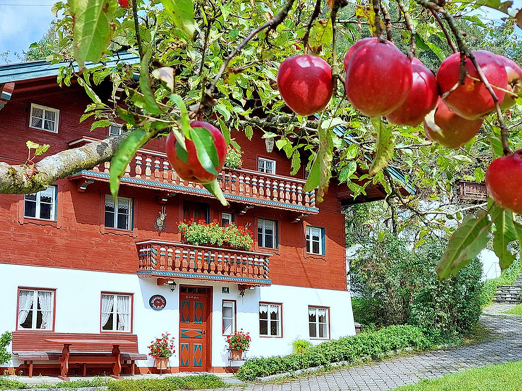 Bauernhof in Erl - Yoga und Frühstück am Bauernhof